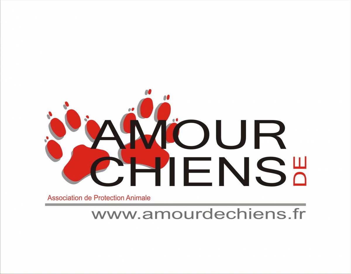 amour de chiens Marseille