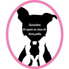 Association de protection animale en PACA - Un Espoir au Creux de leurs Pattes