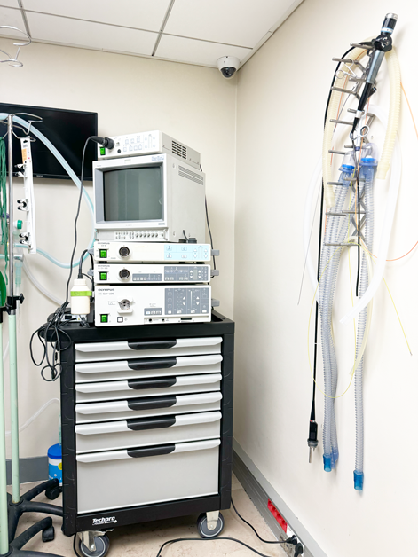  Endoscopie veterinaire urgence chiens chat marseille