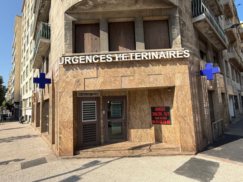 Clinique vétérinaire de garde K d'Urgence à Marseille