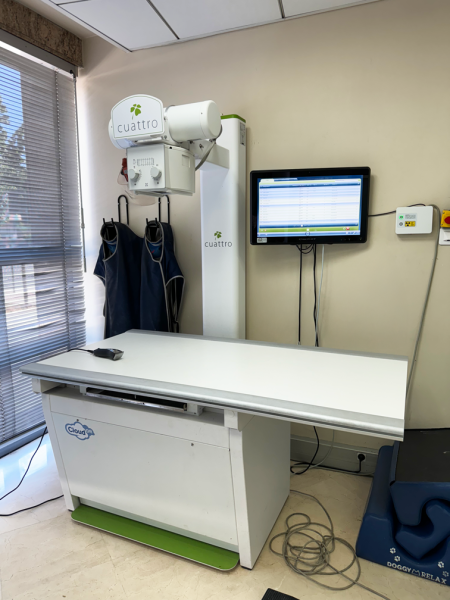 Radiographie vétérinaire d’urgence : Examen clé pour diagnostiquer fractures, tumeurs ou insuffisance respiratoire –  Urgence vet 24 h/24 Marseille 13004