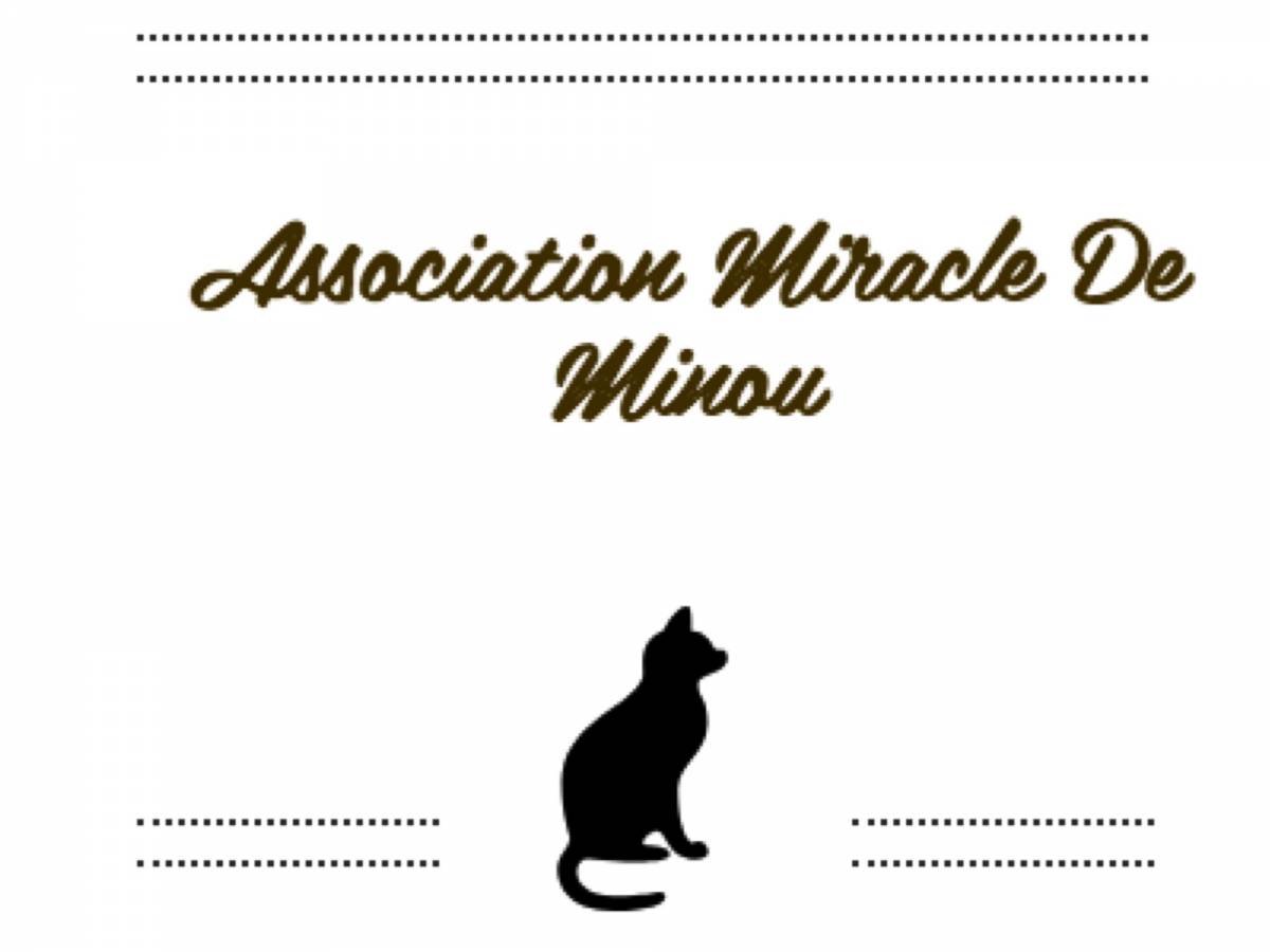 Miracle de minou association chat marseille