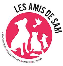 les amis de sam Aix-en-provence