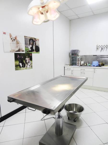 Salle de chirurgie vétérinaire à Marseille