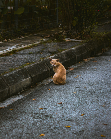 Nos prestations sur le secteur de proche Aubagne